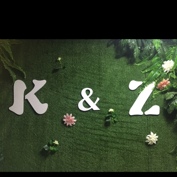 nullZK美学教育