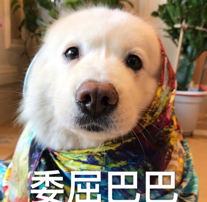 鬼宝
