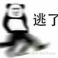 团队D