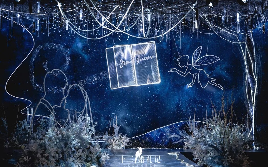 爱的篇章 小精灵星空魔法婚礼