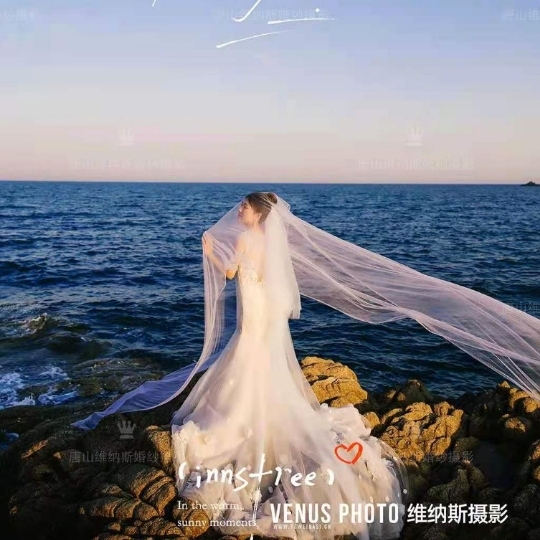 VENUS.白云絮语 皓月清凉