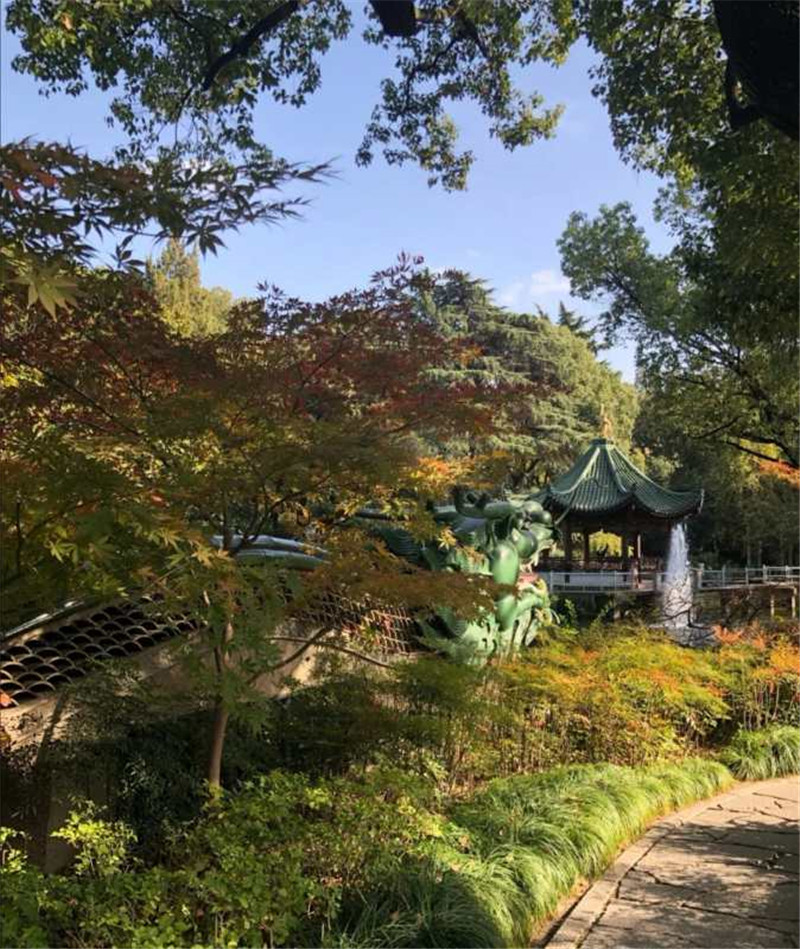 申粤轩（丁香花园）的用户评价