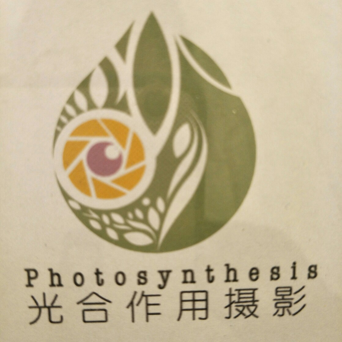 光合作用摄影工作室