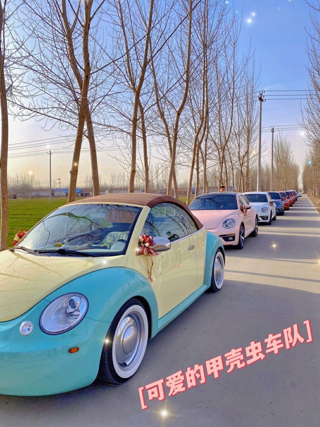 你见过甲壳虫婚车队吗🚗