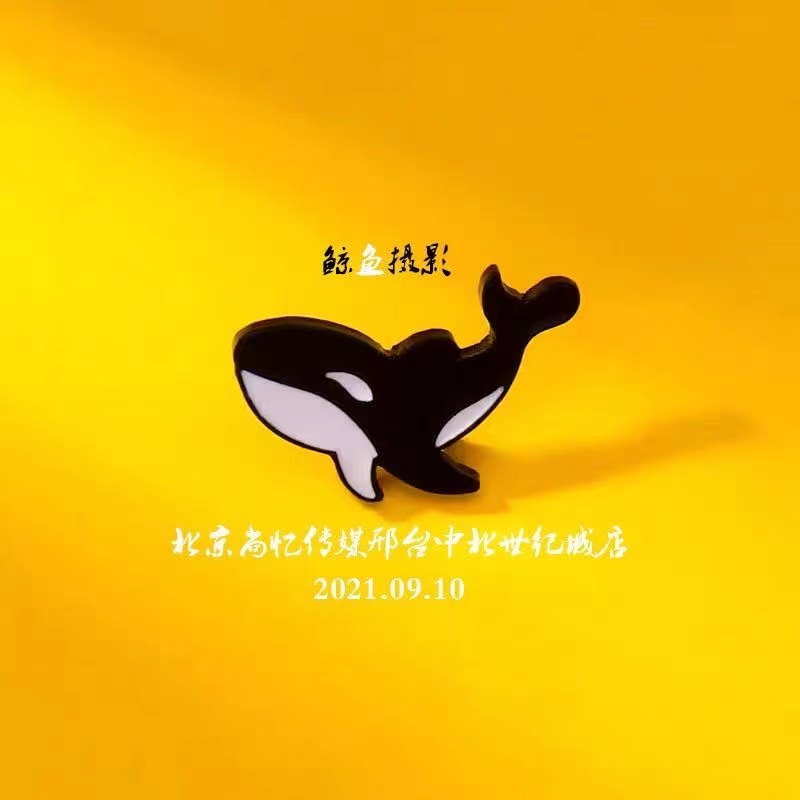 null信都区鲸鱼摄影馆