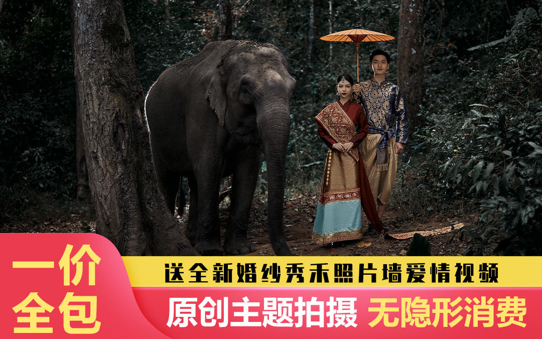 經(jīng)典大促：大象、植物園、傣族園孔雀、原始大瀑布