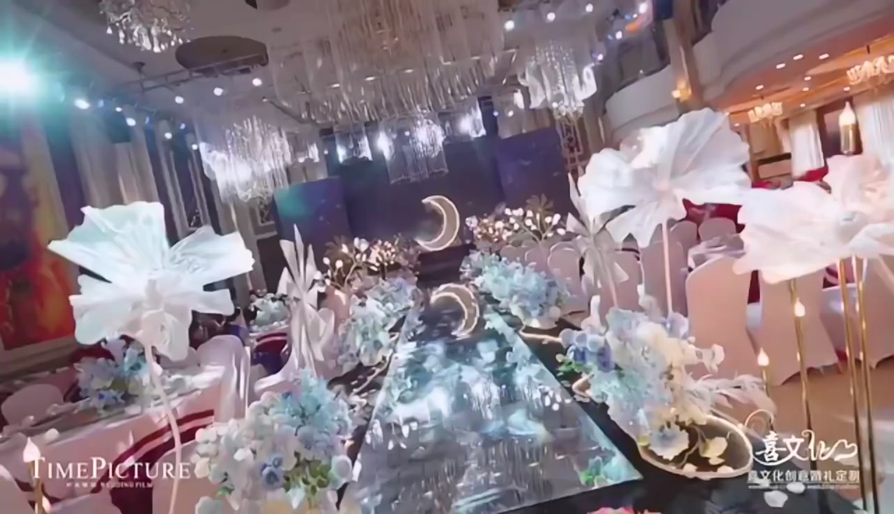 唐河迎宾馆后大厅专属定制星空婚礼