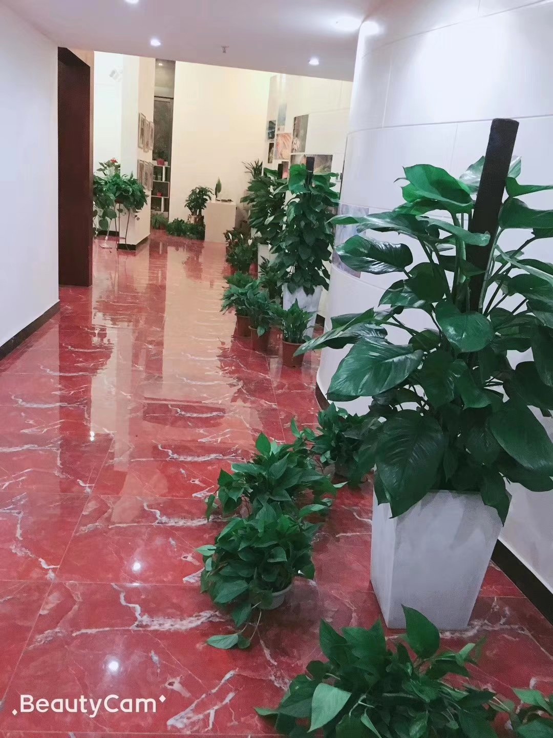 华龙婚礼管家