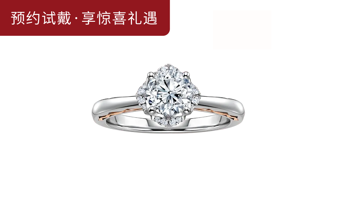 DR LOVE PALACE系列简奢款求婚钻戒