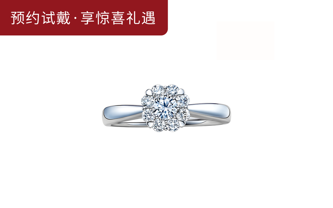 DR BELIEVE爱的捧花求婚钻戒A16023
