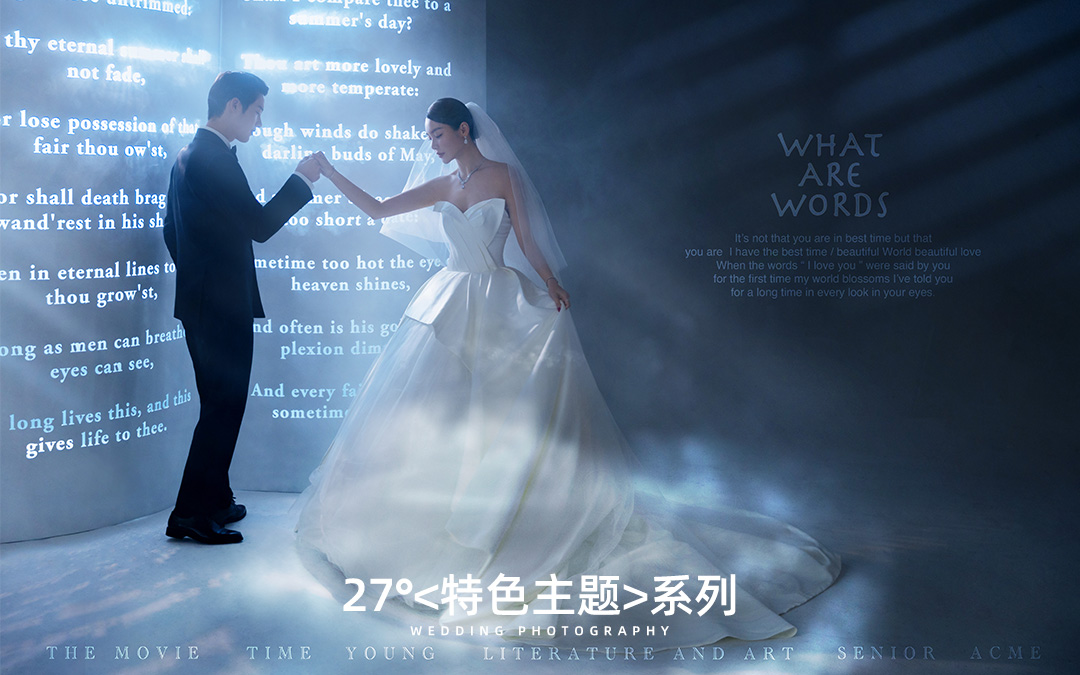 【立减3000】光影艺术简约|样片级团队服务