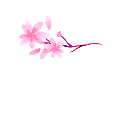 null藁城区兰馨婚纱专卖店