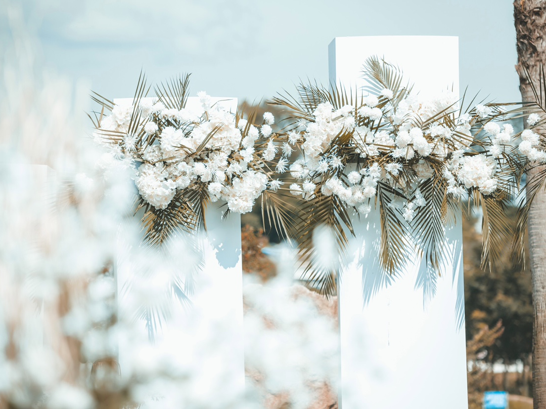  INS風(fēng)白綠草坪婚禮/一切簡單隨性卻不失自由