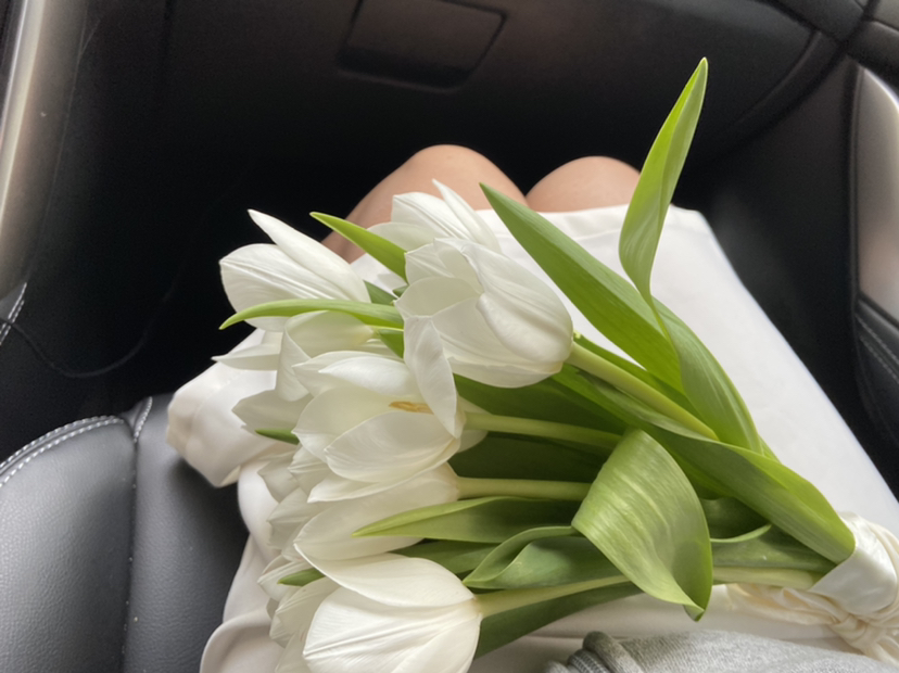 如何最低成本获得一束领证郁金香手捧花