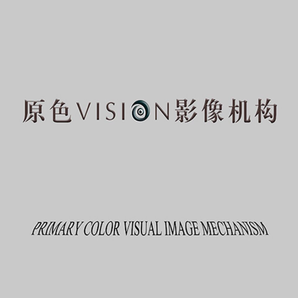 原色VISION影像机构