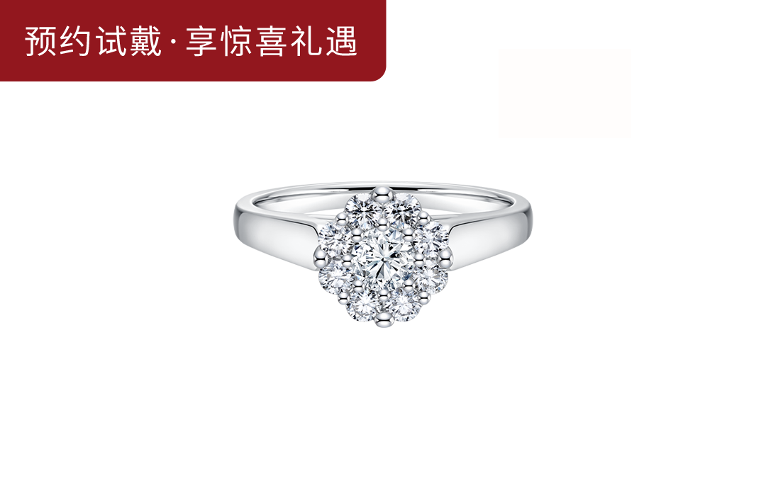DR BELIEVE系列简奢款钻戒A16022