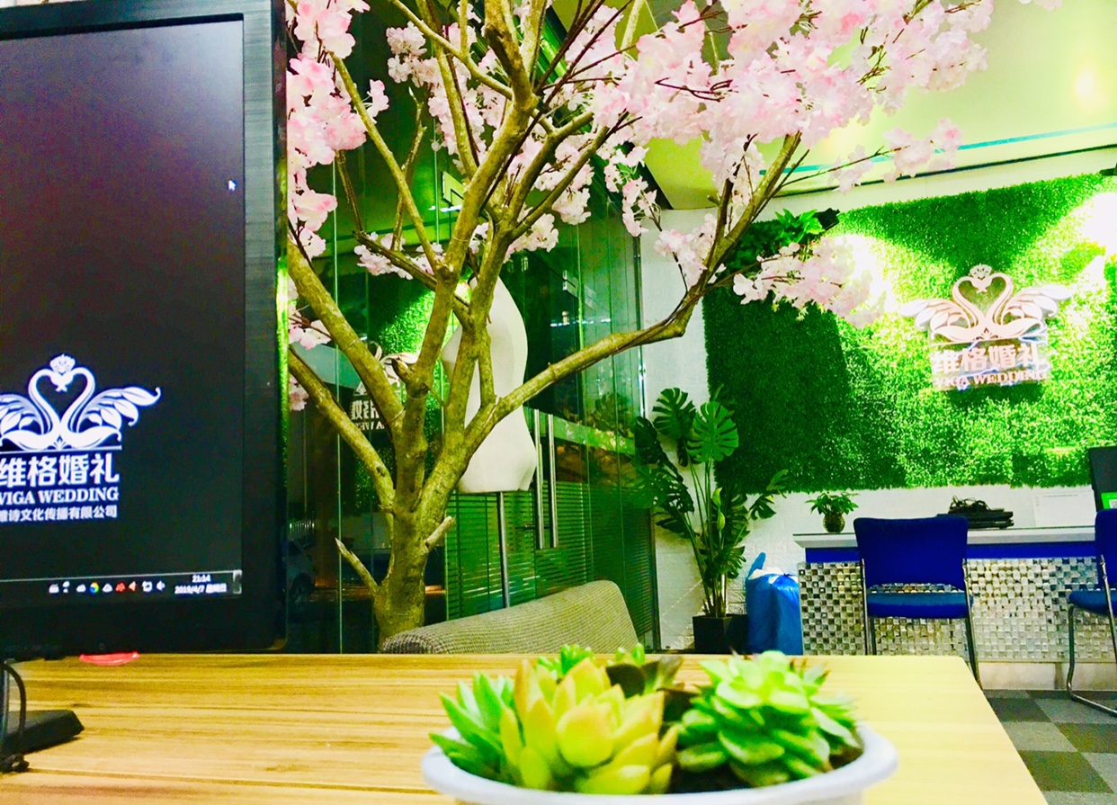 维格婚礼