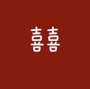 桐双喜牵手婚庆(冀州区店)