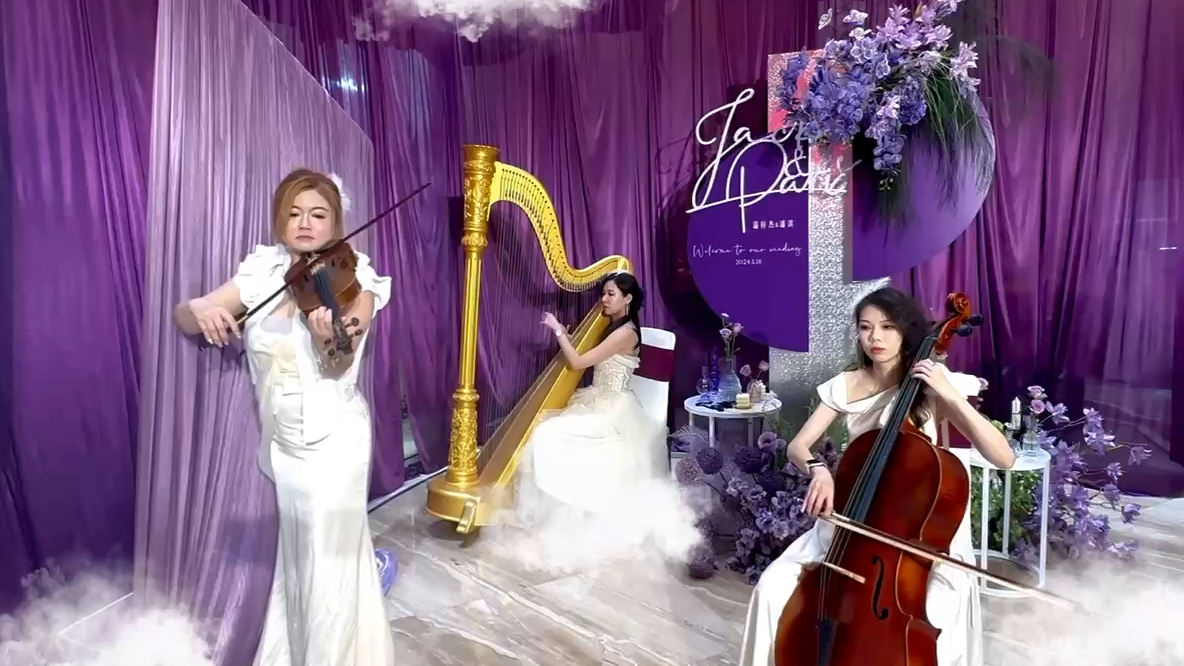 竖琴 小提琴 大提琴 婚礼乐队