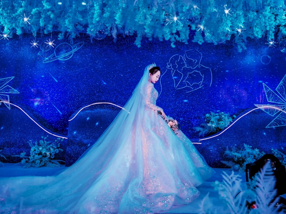 【曼蒂婚禮】岐山夢幻星空頂婚禮