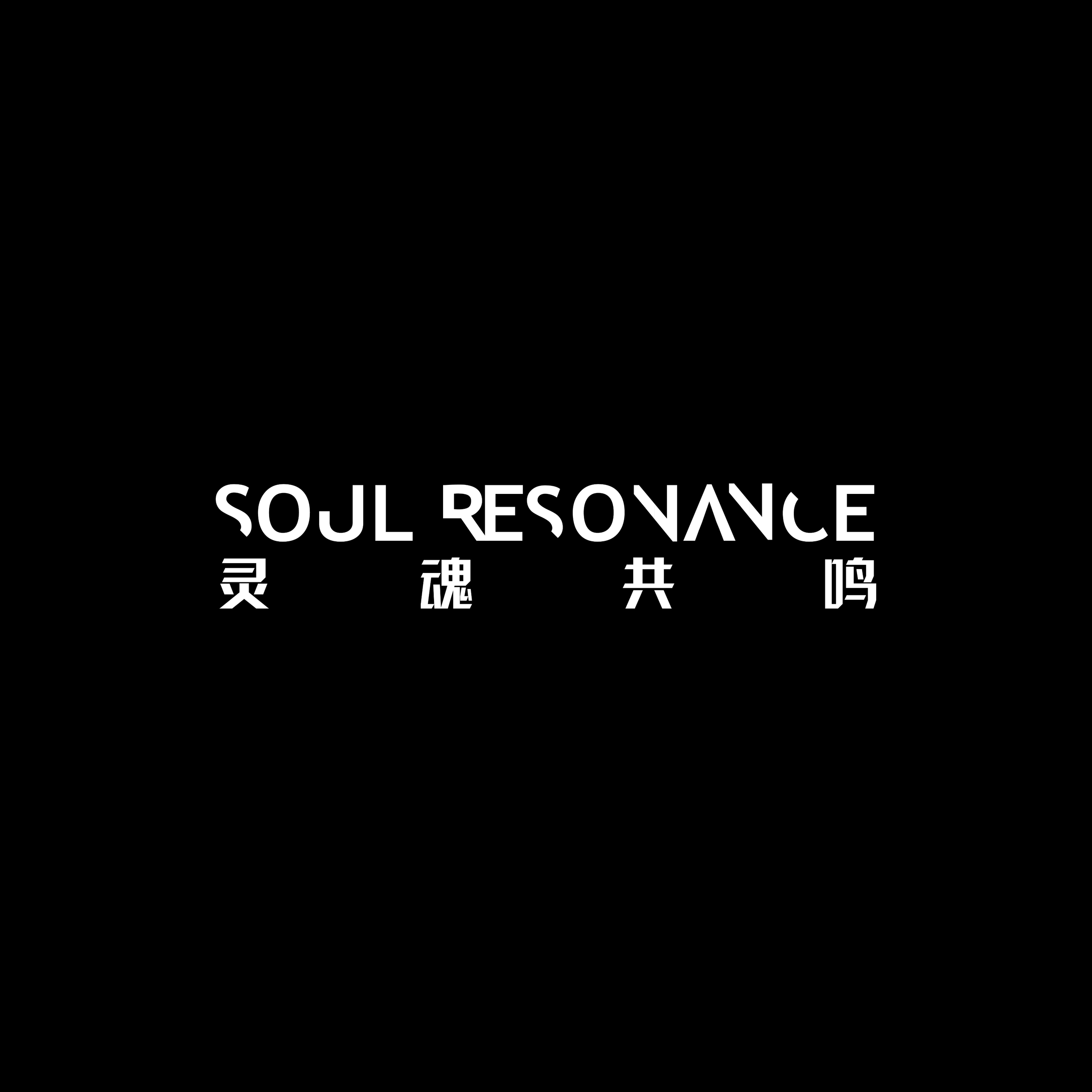 SOULRESONANCE影像社