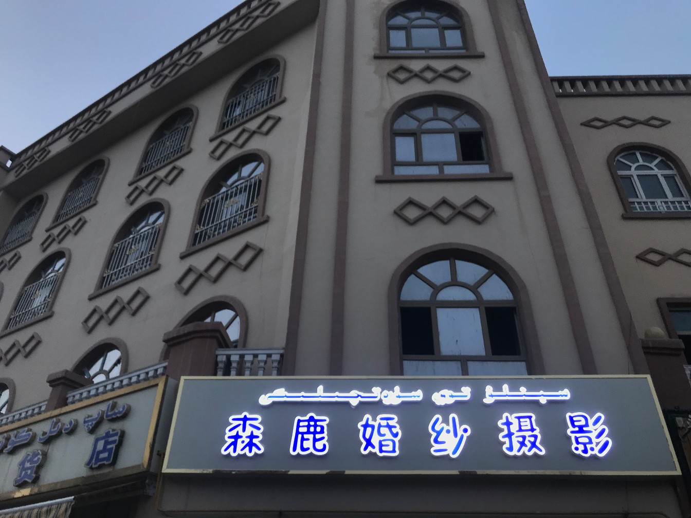 森鹿摄影
