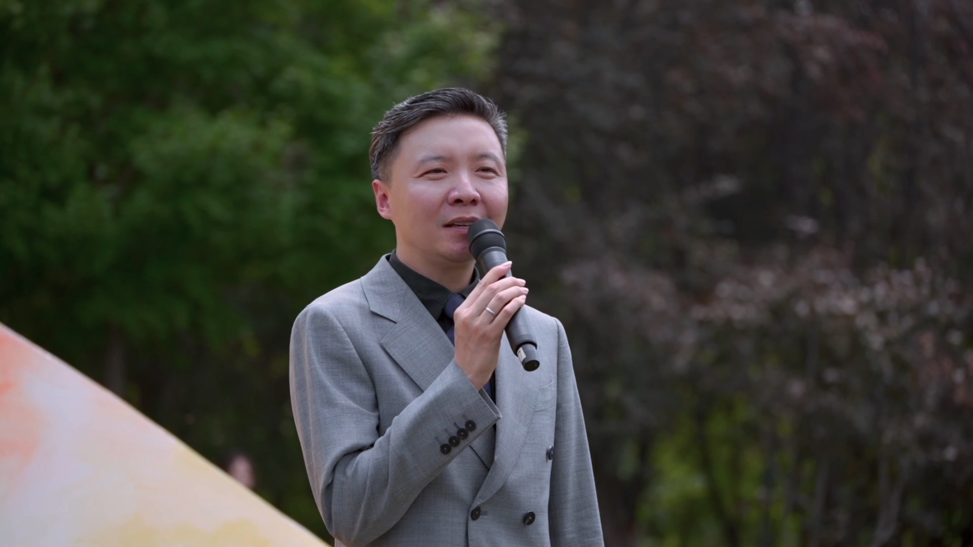 南湖紫天鹅