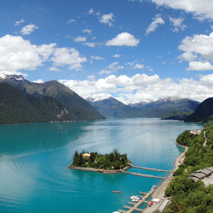 null测试泡泡的店