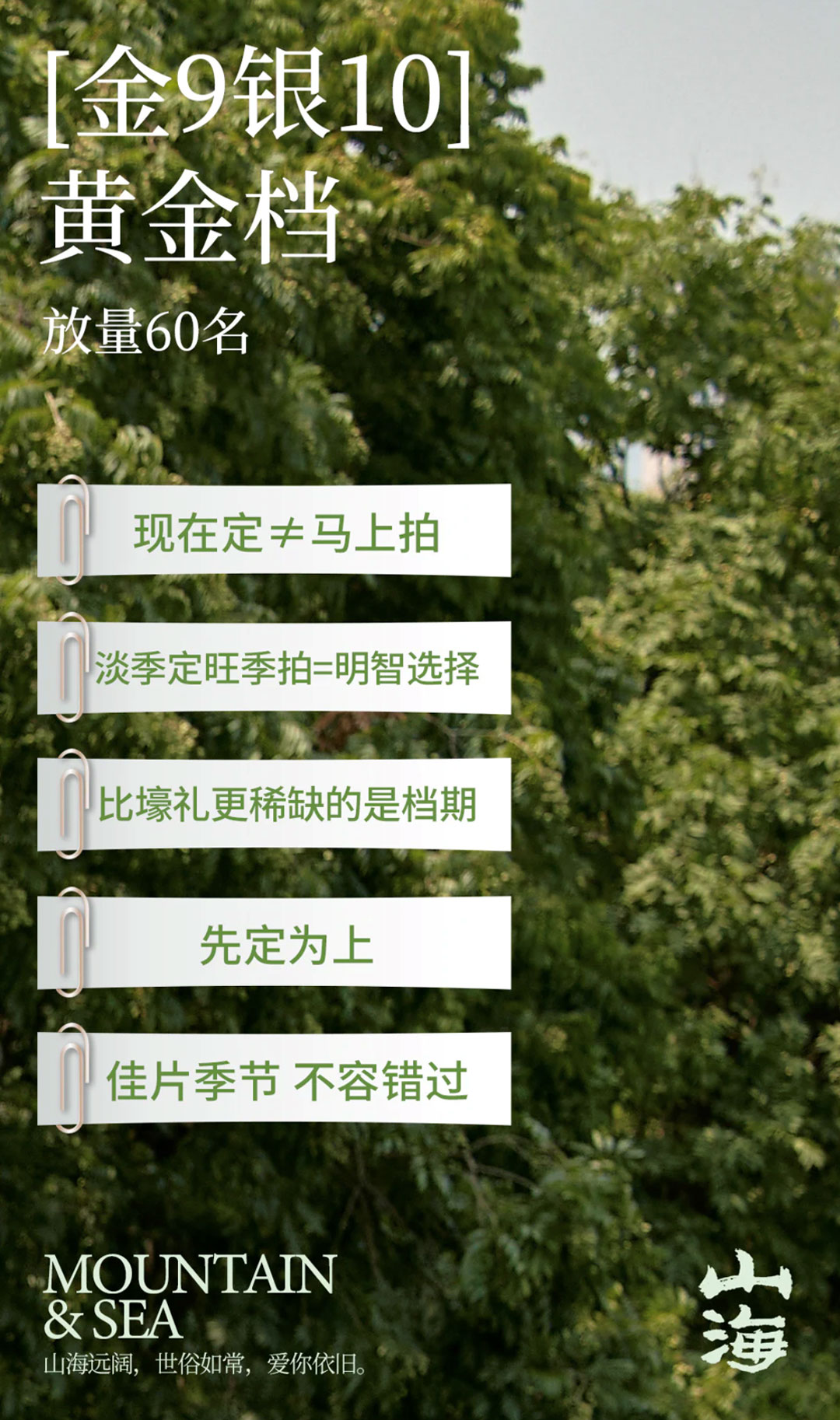 室外草坪·森系婚纱照