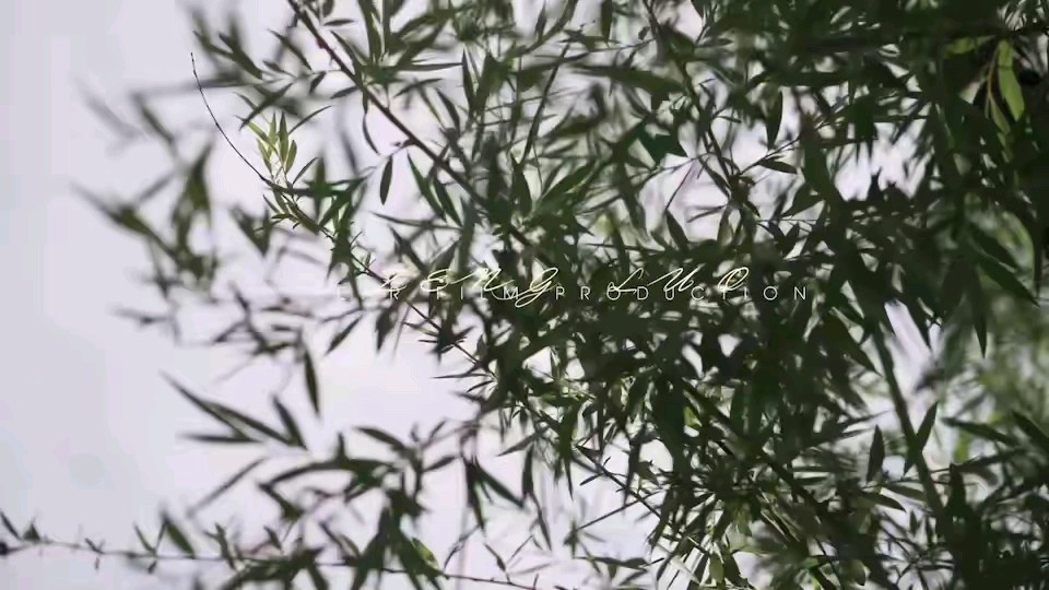 卜鹿视觉  单机总监