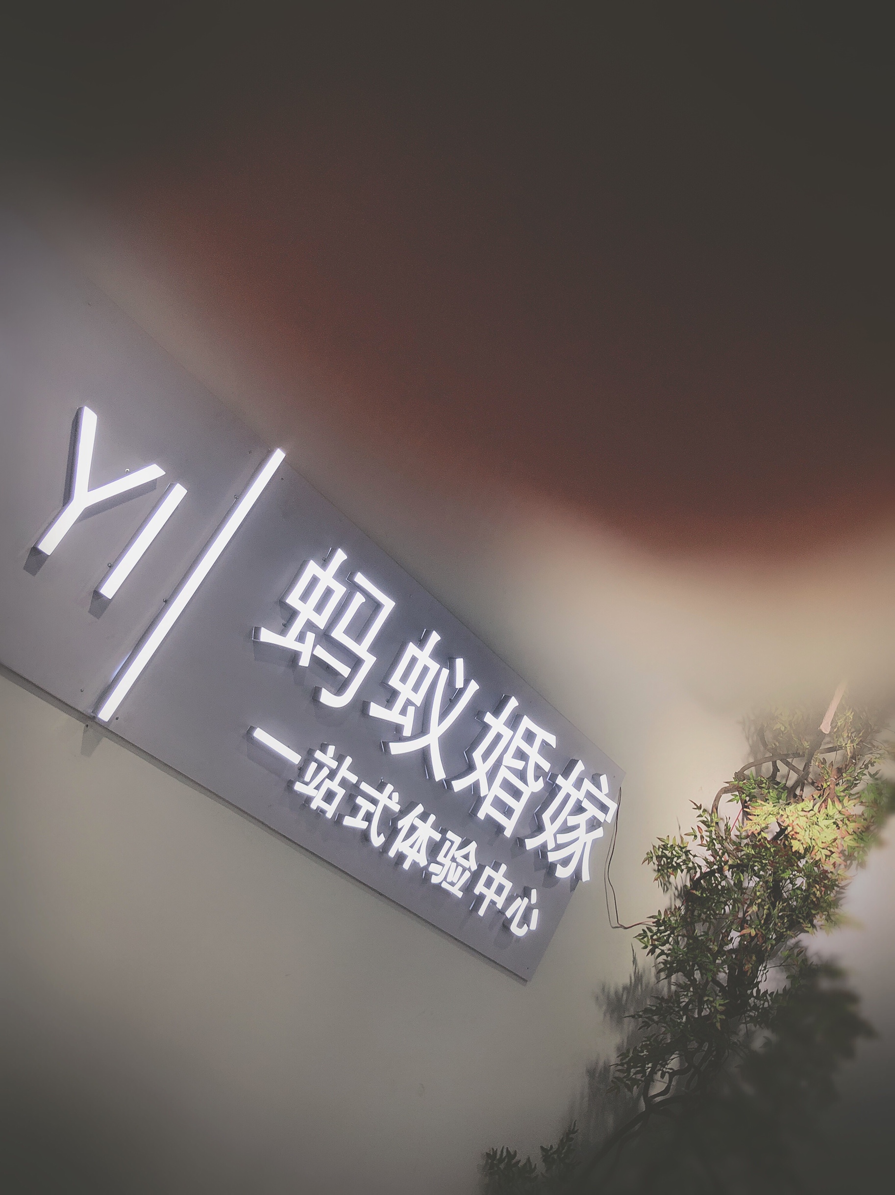 蚂蚁婚嫁
