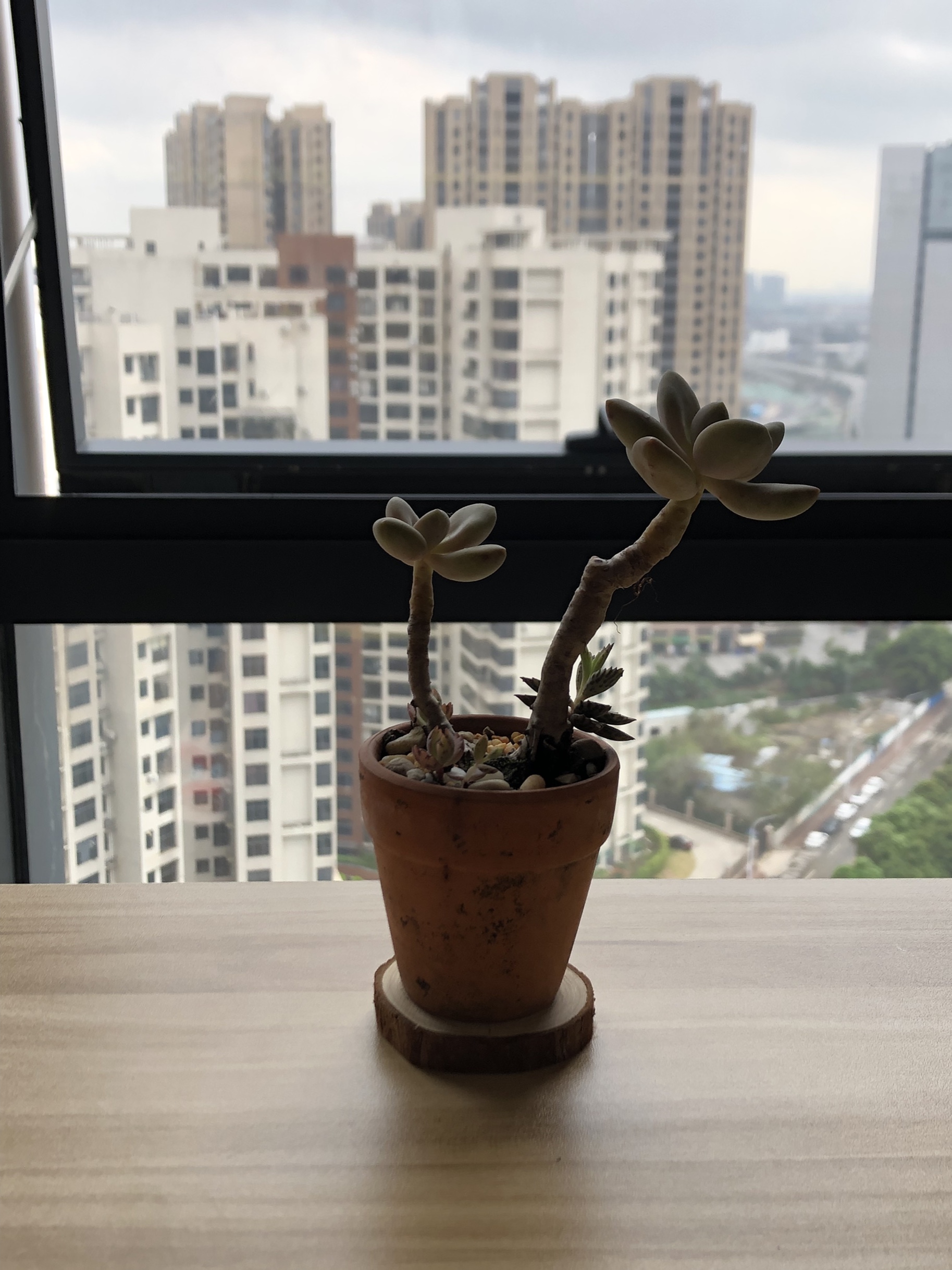 Então Studio婚礼策划有限公司