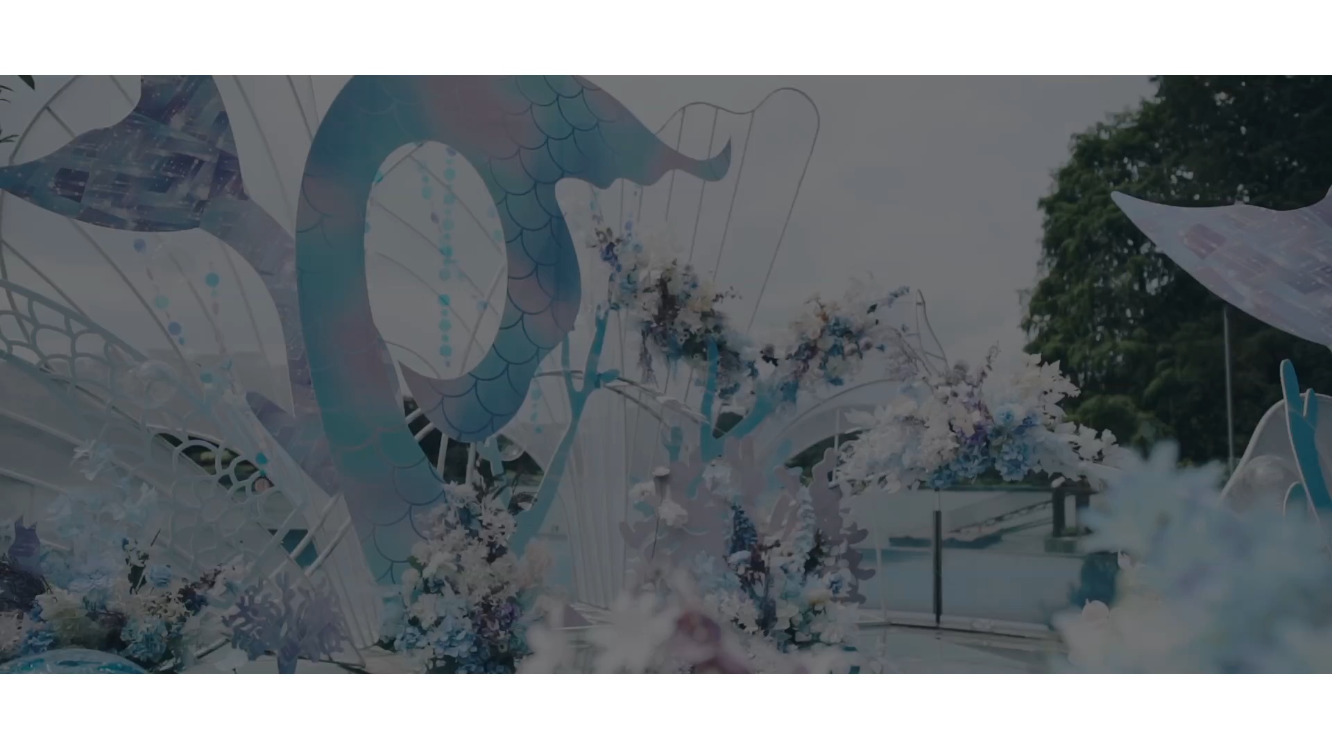 国粤双语婚礼主持-细辉 【打造属于你的婚礼】