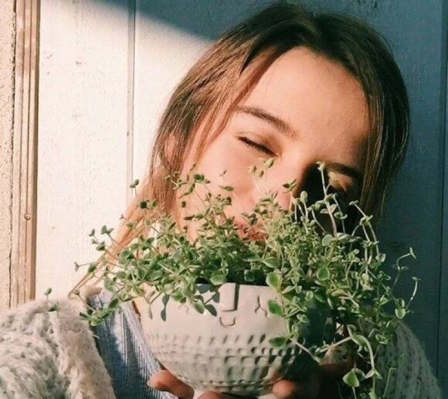 橘味凉茶