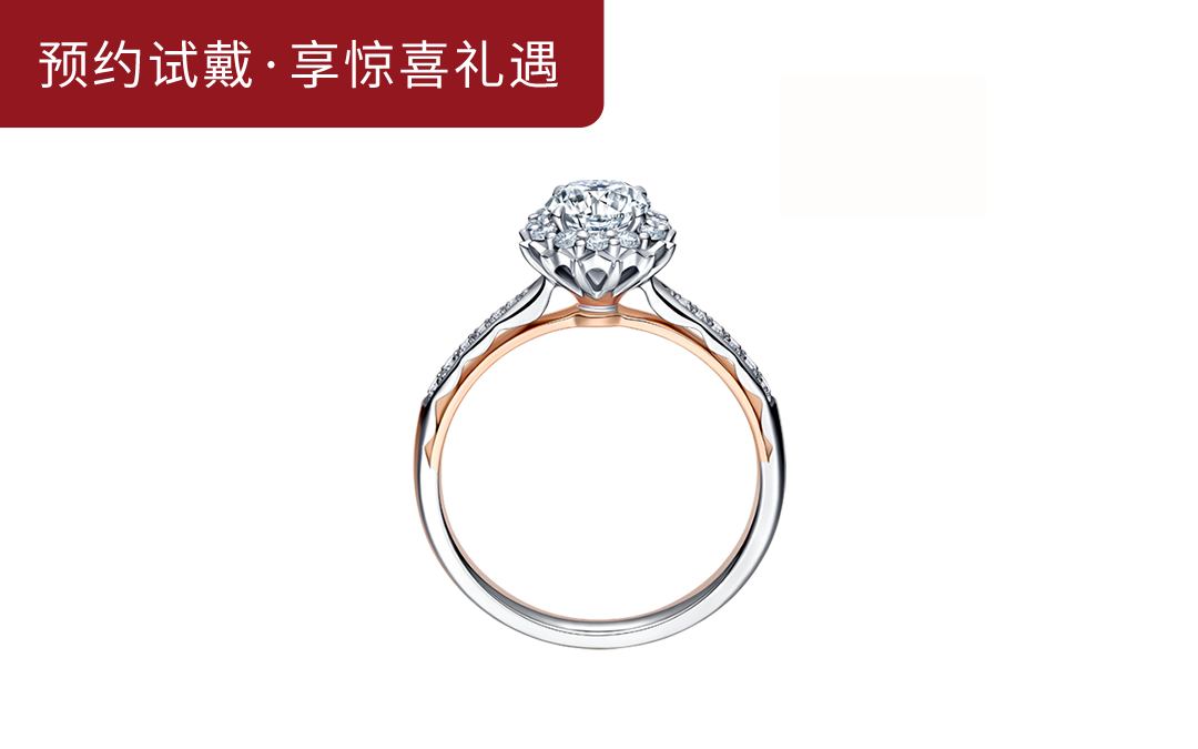 LOVE PALACE简奢款求婚钻戒WJ0107