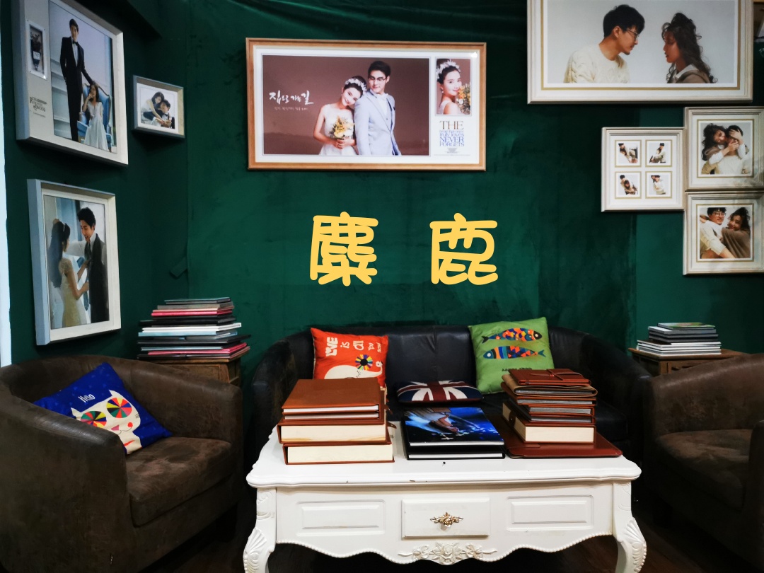 麋鹿摄影