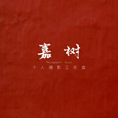 嘉樹視覺