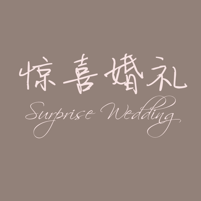 null海南惊喜婚礼