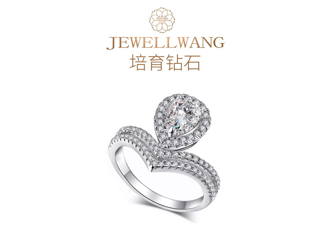 飒露 JEWELLWANG钻玺培育钻石婚戒