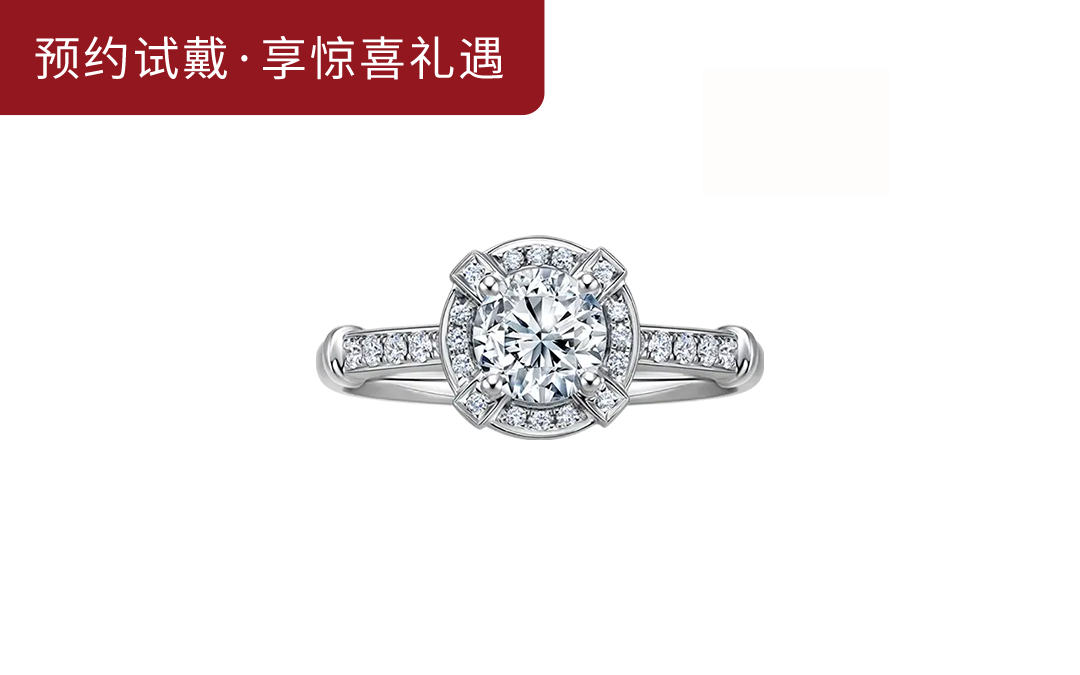 D系列 简奢款求婚钻戒WJ0161