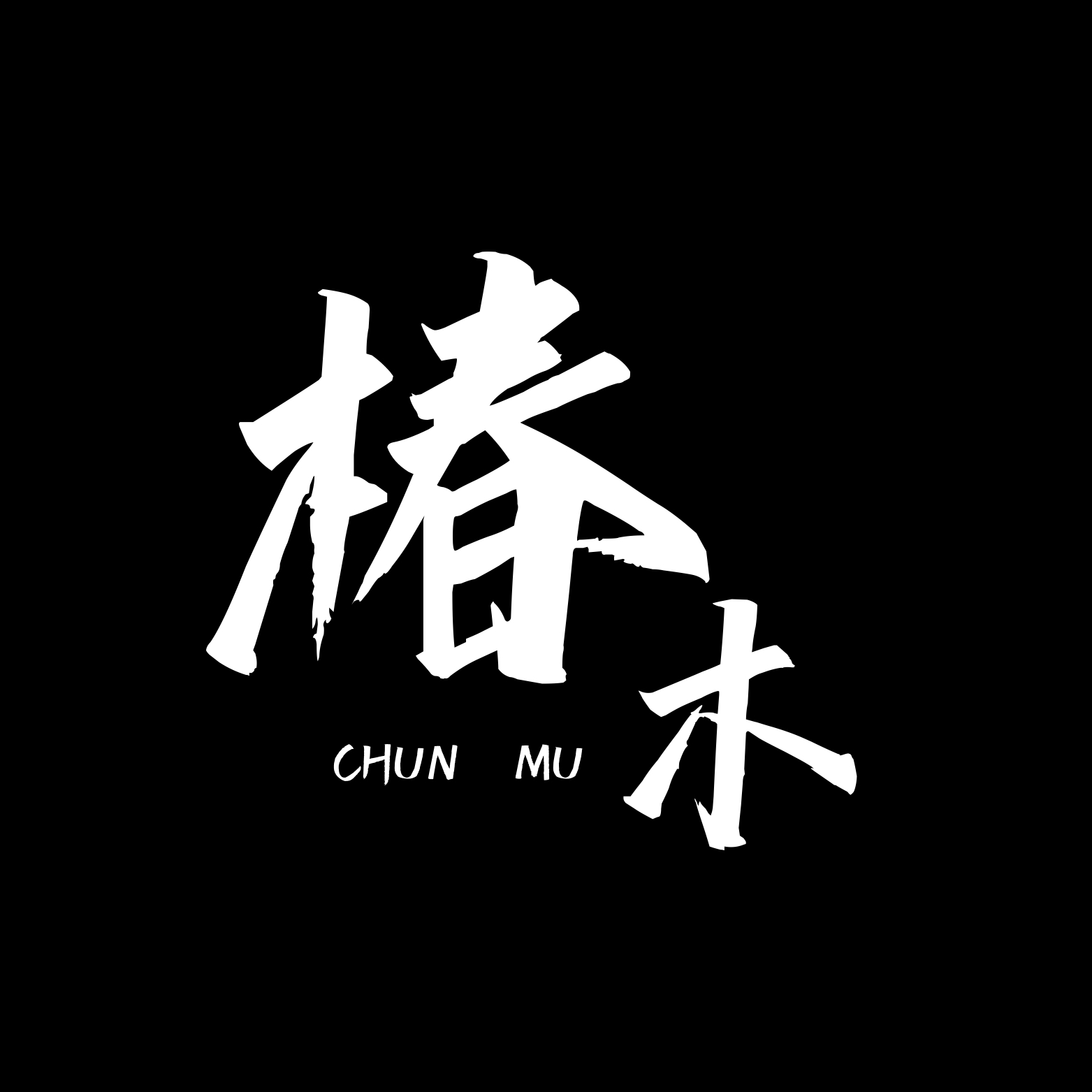 椿木電影Studio