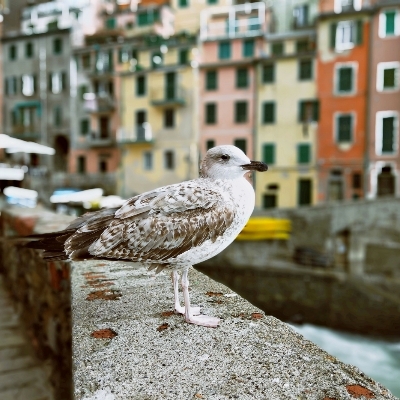 测试婚礼策划勿审14