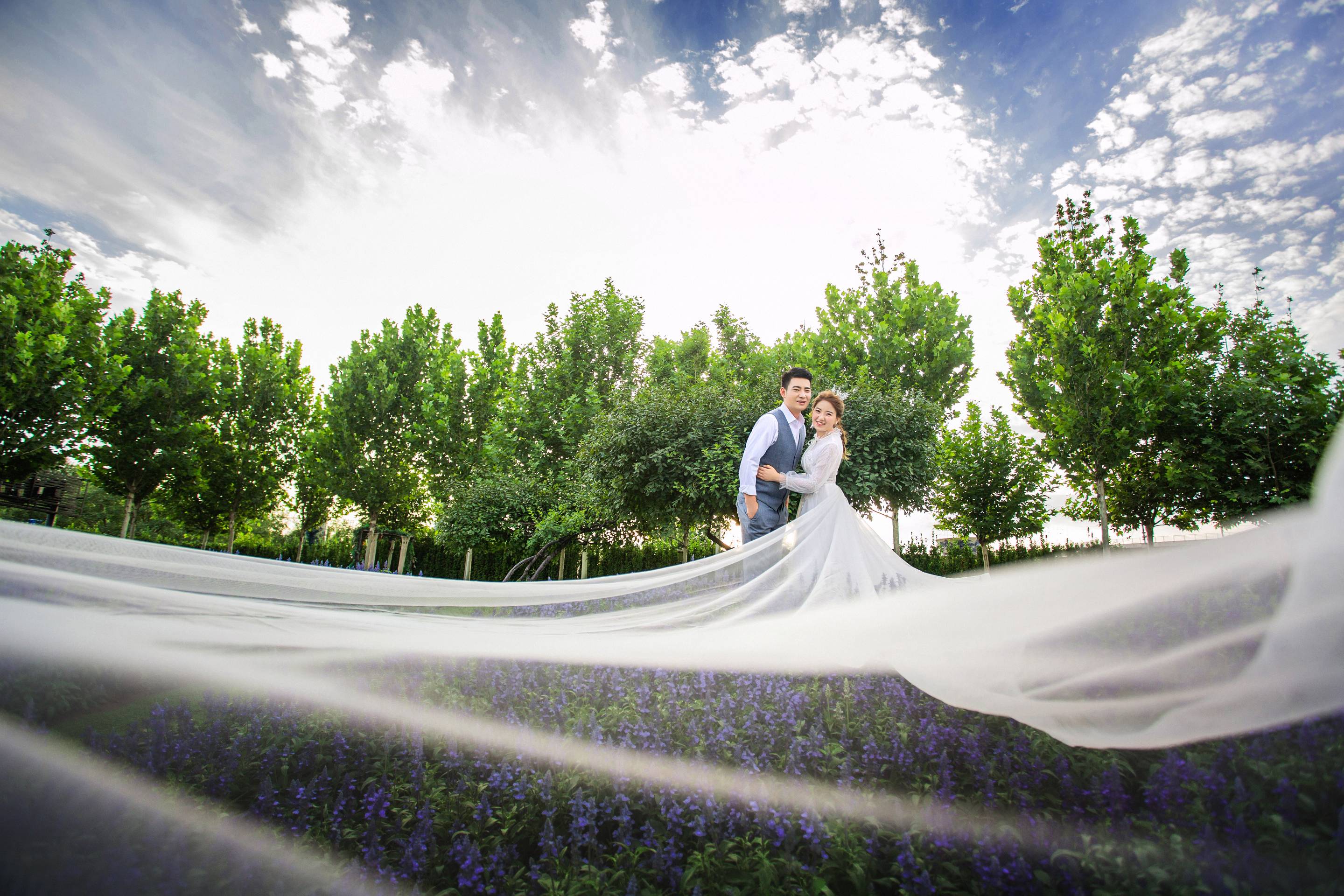 北京城市花园婚纱_城市花园图片(2)