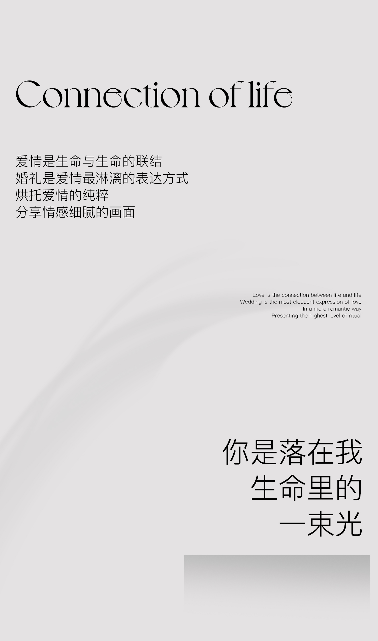 『店长强推』经典真挚系列婚纱照套餐省心优选