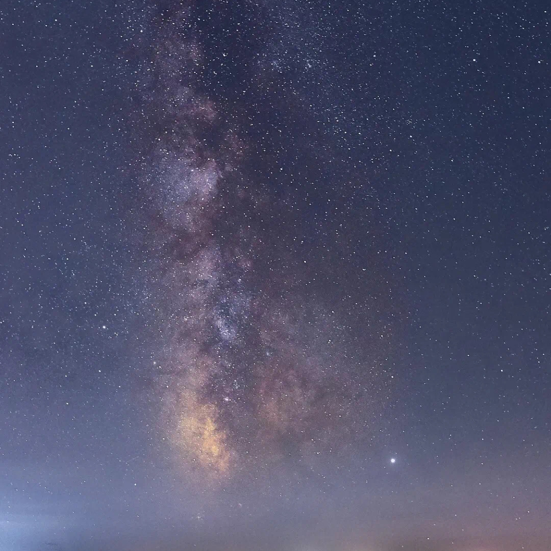 阿玛丽