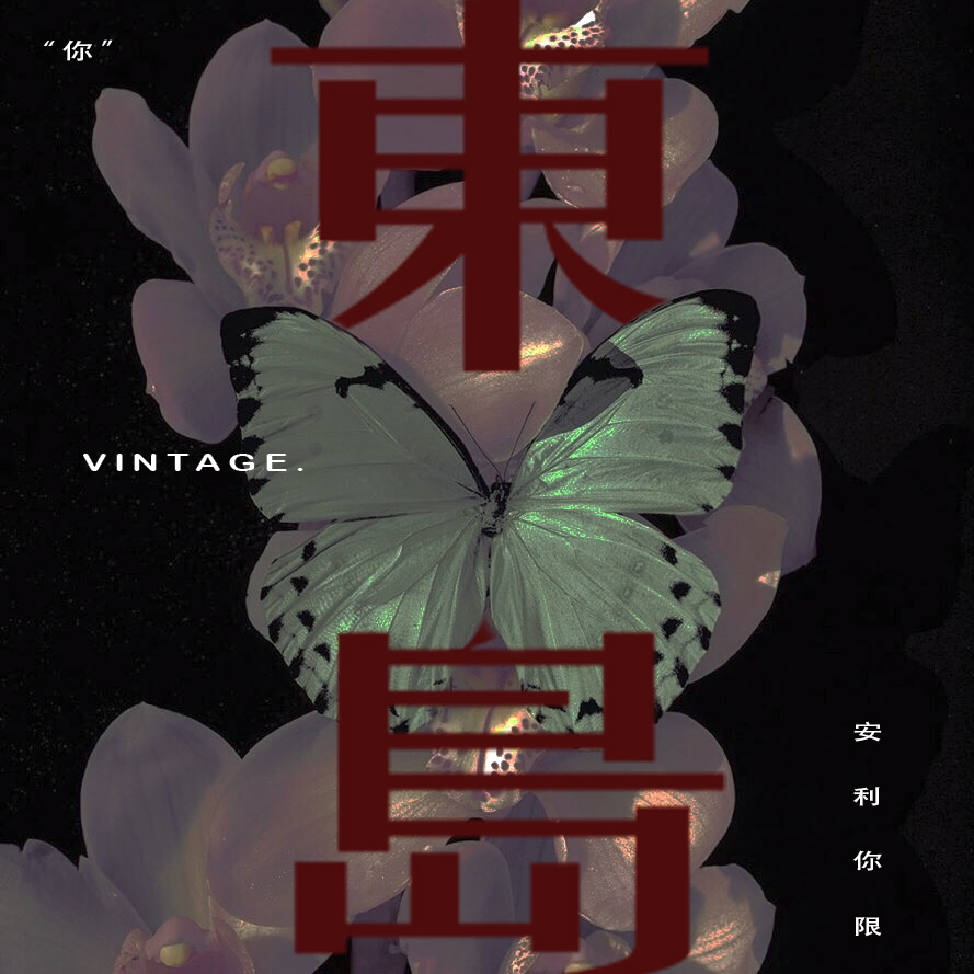 東岛影像
