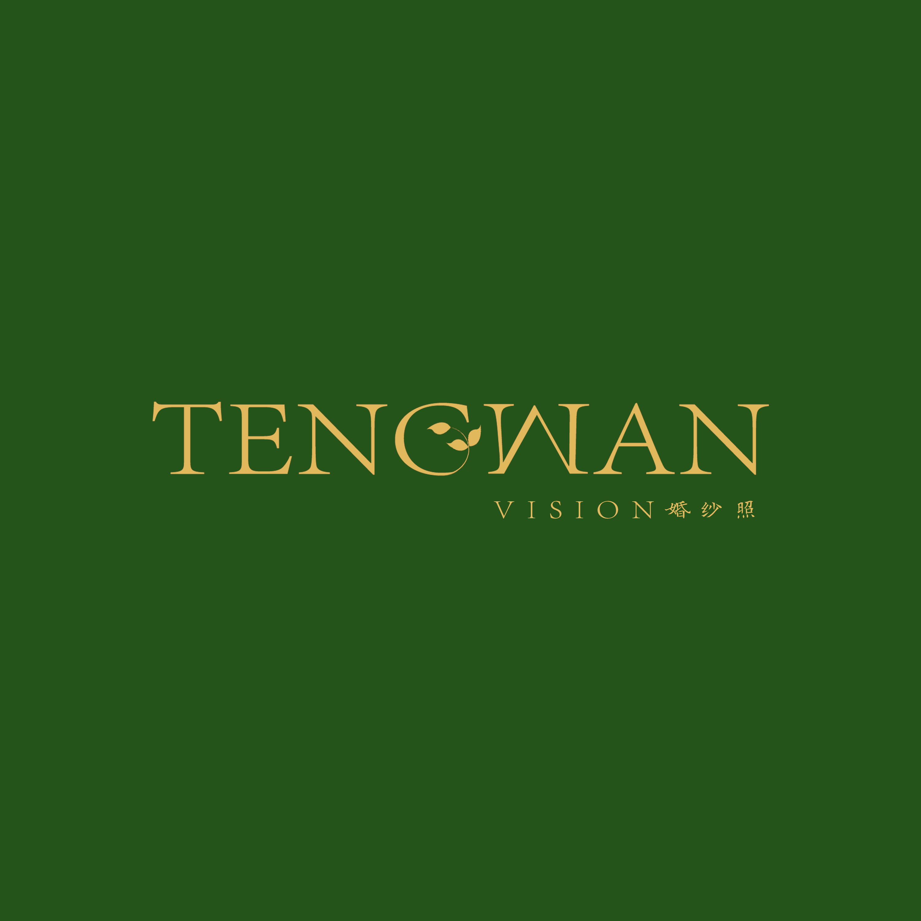 藤蔓视觉TENGWAN(花园别墅店)