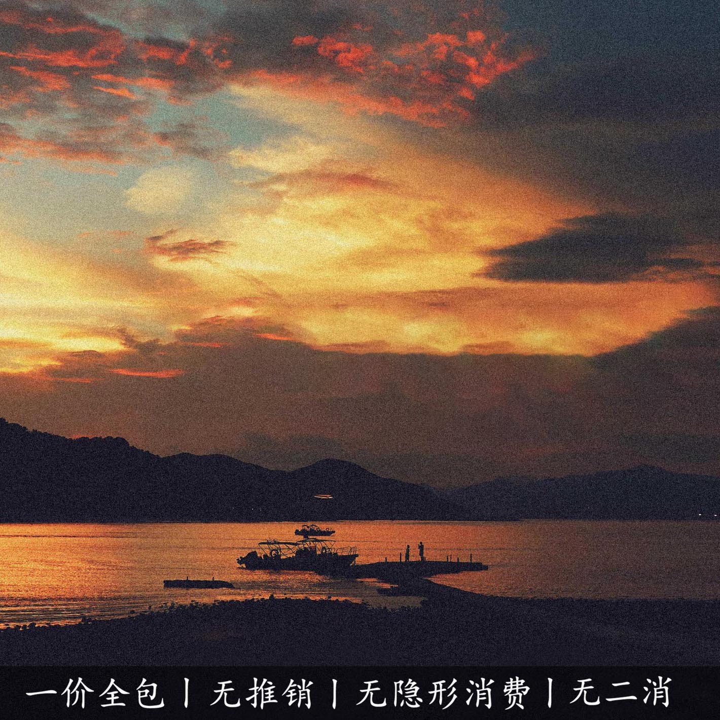 【畅销】蔷薇+MV+情感纪实