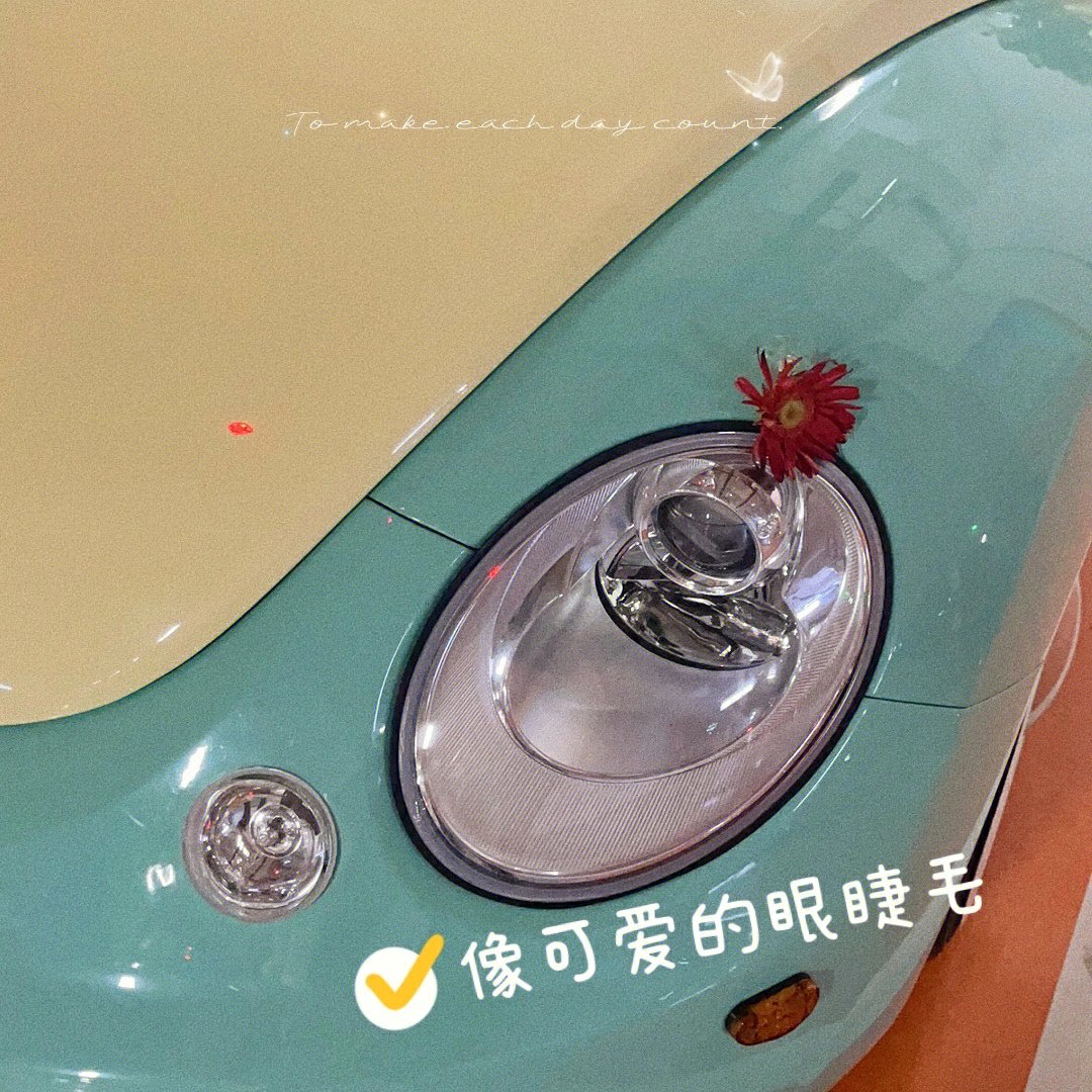 你见过甲壳虫婚车队吗🚗