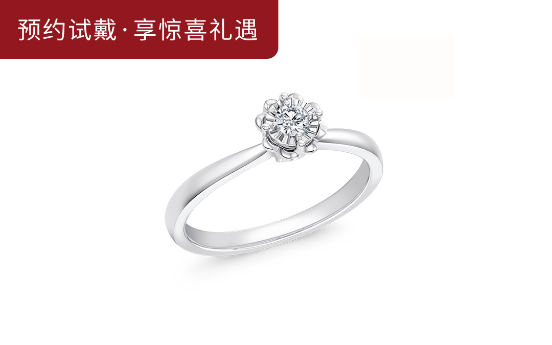 DR BELIEVE雪心印记简约初心求婚钻戒